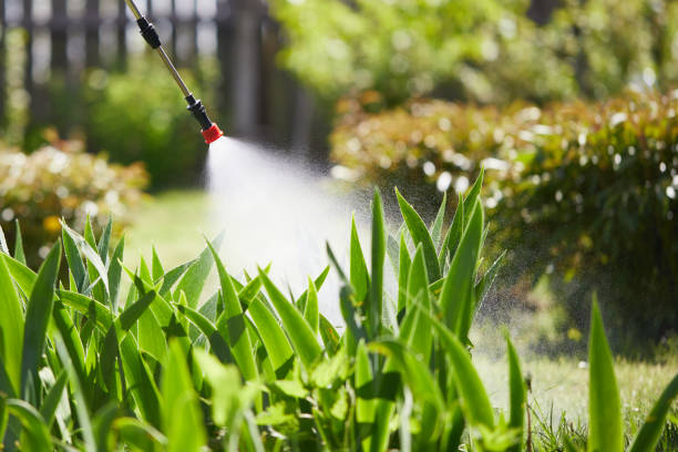 Tamper-Resistant Bait Stations for Rodents in Goodhue