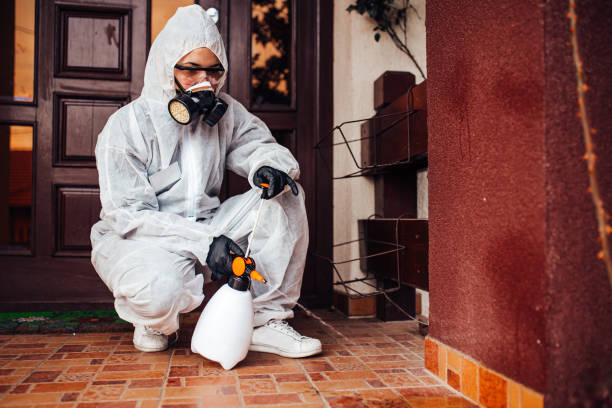 Attic and Crawl Space Rodent Treatment in Goodhue