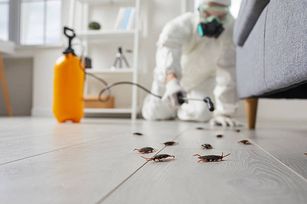 Commercial Rodent Management in Goodhue